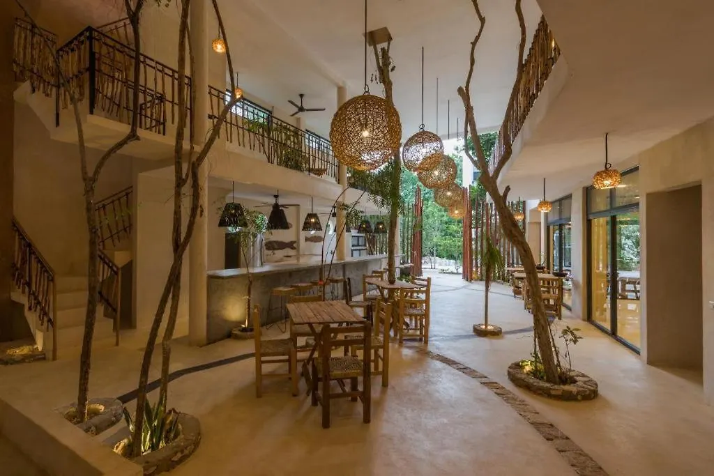 ***  Koos Tulum Hotel Mexico